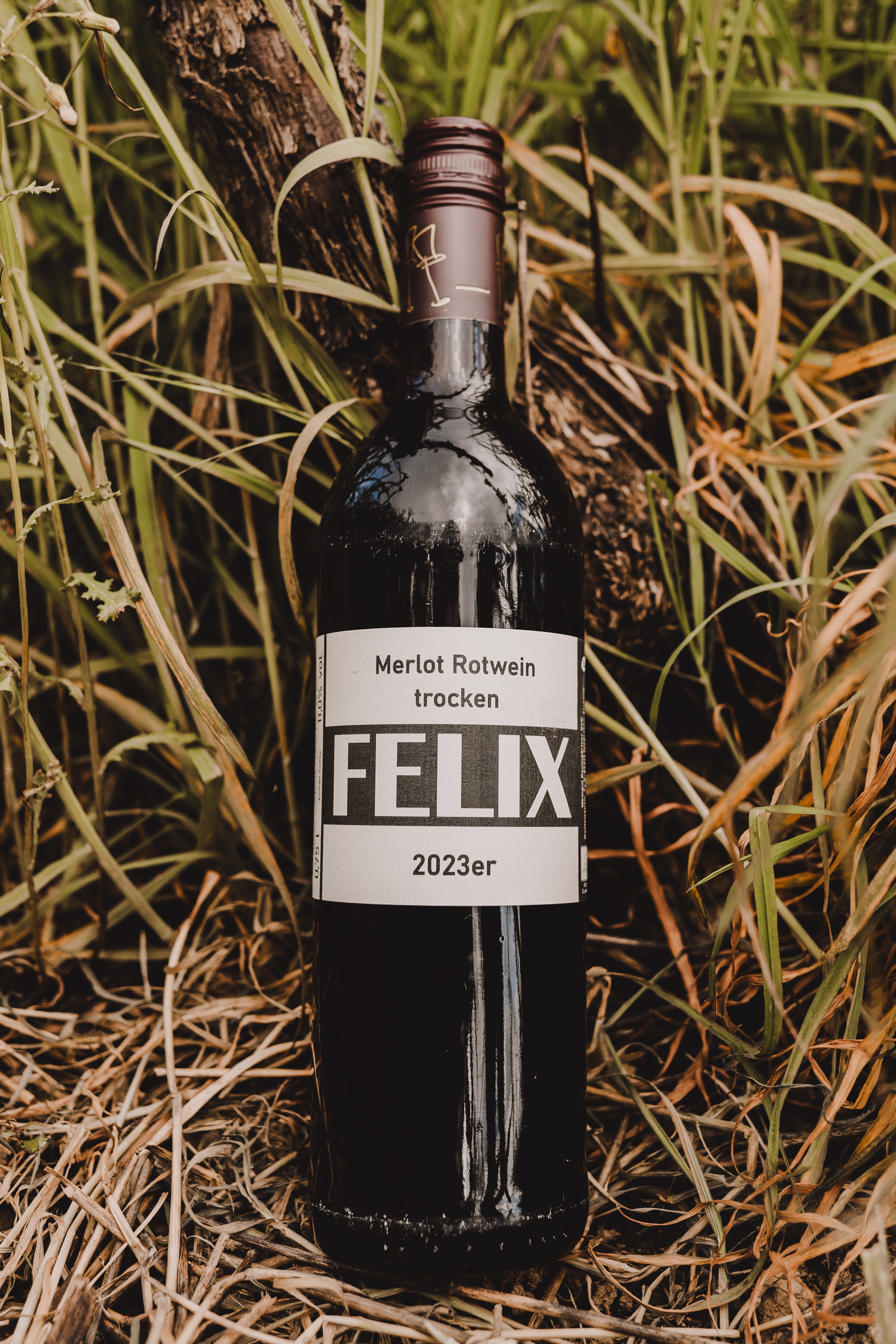 2017 Portugieser Rotwein trocken
